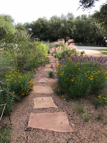 garden path – Travis County Master Gardeners Association