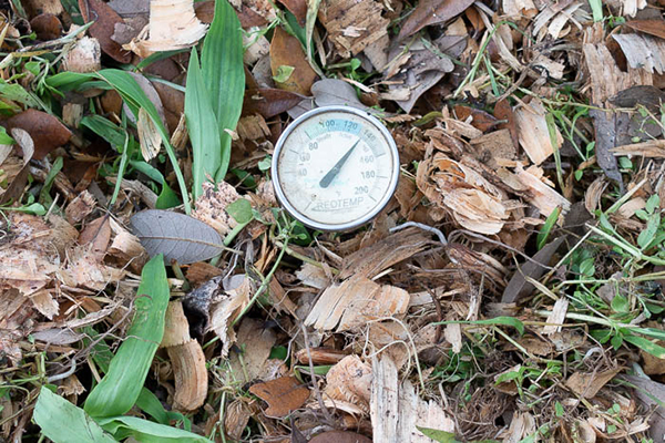 Compost temp – Travis County Master Gardeners Association